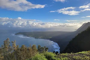 Pālāʻau State Park image