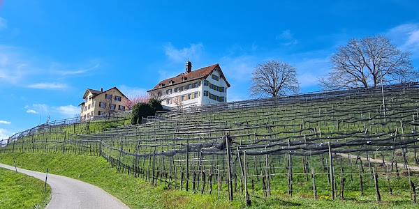 Schloss Dottenwil