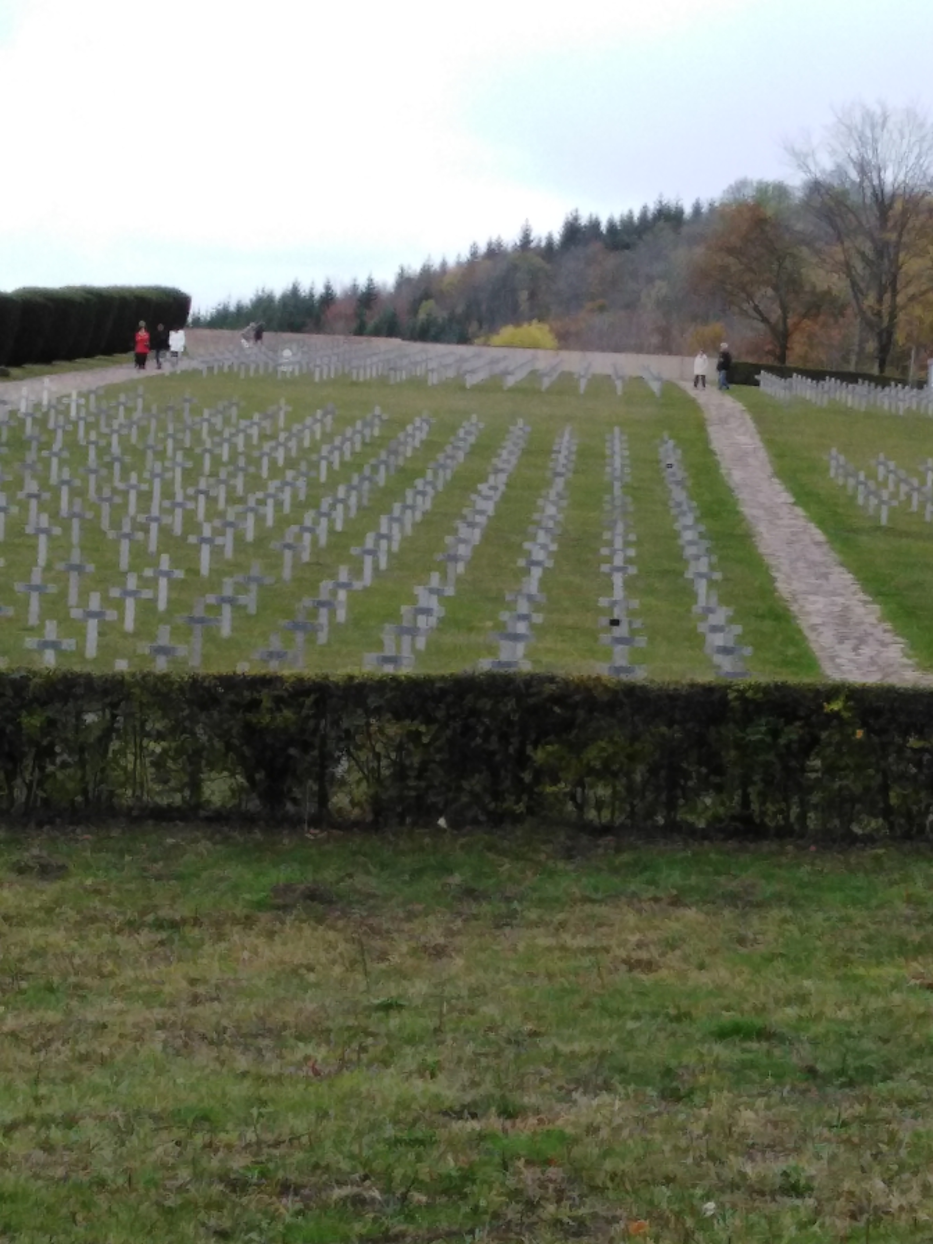 Photo n° 6 de l'avis de Ingrid.o fait le 08/12/2019 à 18:46