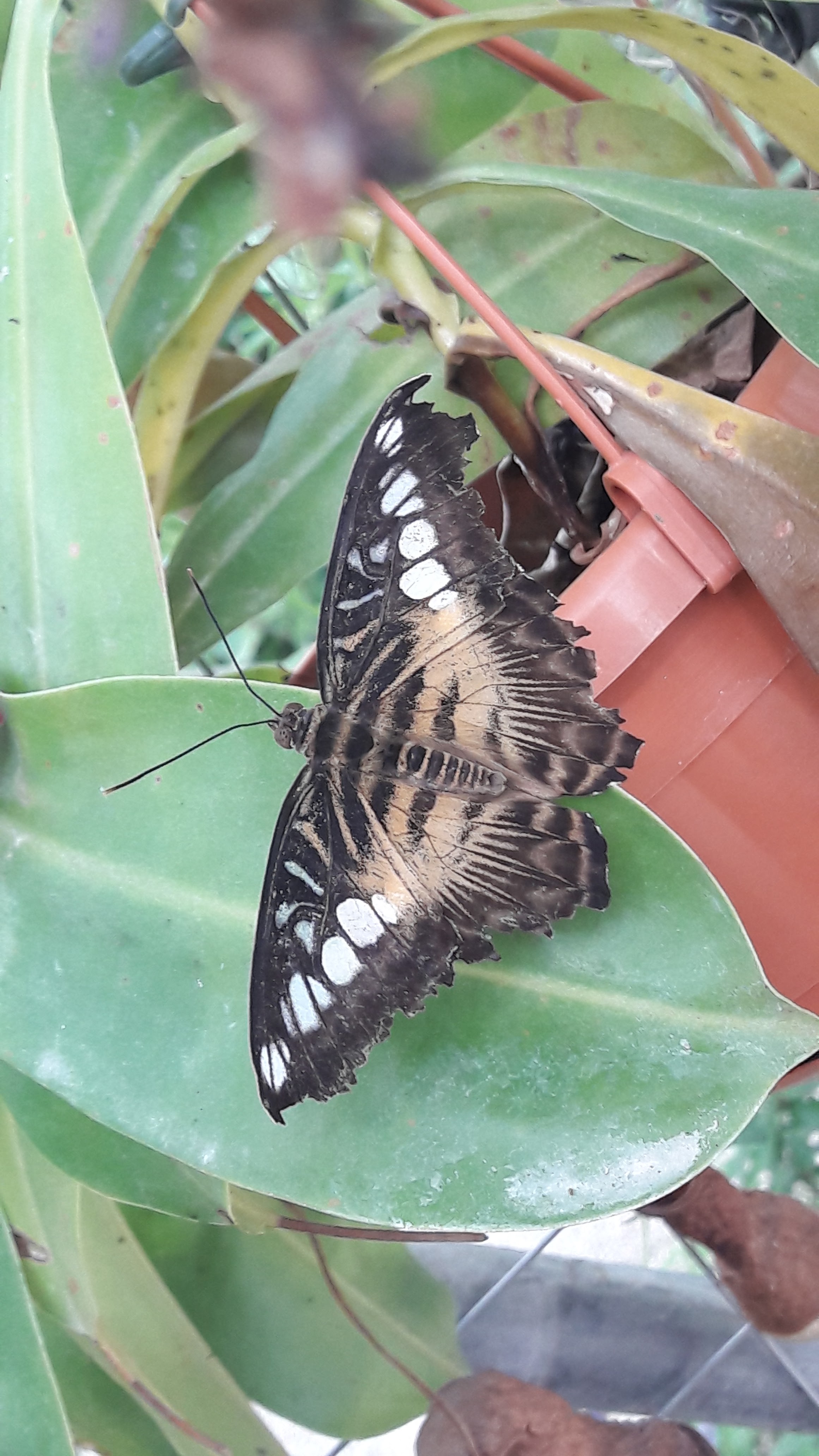 Photo n° 1 de l'avis de RoxyZ.. fait le 10/08/2019 à 11:09