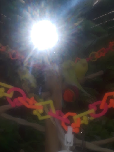 Pet Supply Store «Petco Animal Supplies», reviews and photos, 852 N Western Ave, San Pedro, CA 90732, USA