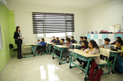 Özel Radikal Okulları Diyarbakır