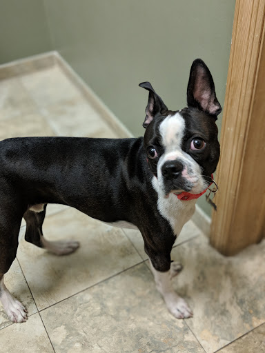 21-79 Steinway St, Astoria, NY 11105, USA