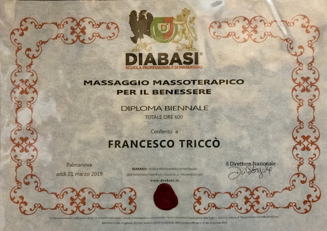 Recensioni di Francesco Triccò - Massaggi Professionali a Venezia - Massagio-terapista