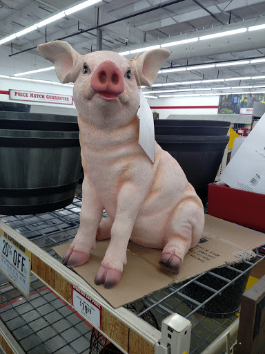 Home Improvement Store «Tractor Supply Co.», reviews and photos, 200 West Marketplace Drive, Bennett, CO 80102, USA