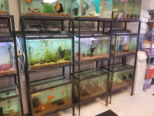 Tropical Fish Store «Aquarium Oddballs», reviews and photos, 6115 E 31st St, Tulsa, OK 74135, USA