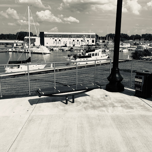 Auto Parts Store «Advance Auto Parts», reviews and photos, 527 Monroe Ave, Rochester, NY 14607, USA