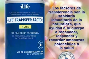 4Life Portoviejo - Comprar TRANSFER FACTOR en Portoviejo - Oportunidad de Negocio 4Life en Portoviejo- Productos de 4Life image