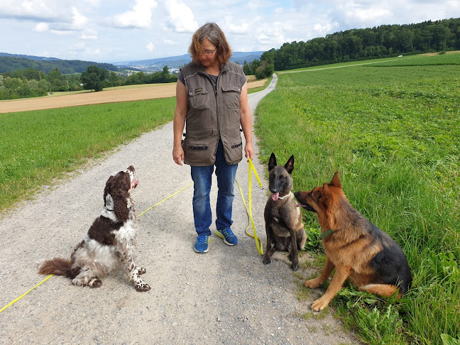Kommentare und Rezensionen über WALKINGDOGS DOG SCHOOL & dogcare Zürich