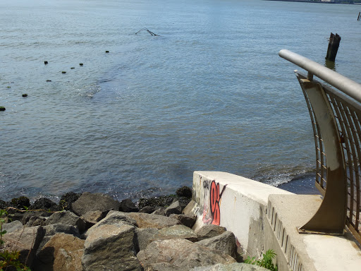 Park «Bushwick Inlet Park», reviews and photos, Kent Ave, Brooklyn, NY 11249, USA