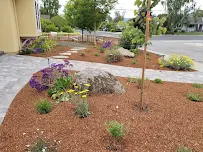 McTighe Landscaping - Car repair in , Sunnyvale - Rated 5.0/5