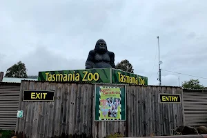 Tasmania Zoo image