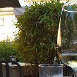 Photo n°4 de l'avis de Ines.. fait le 16/06/2019 à 08:12 sur le  Vintage Jazz Food & Wine à Como