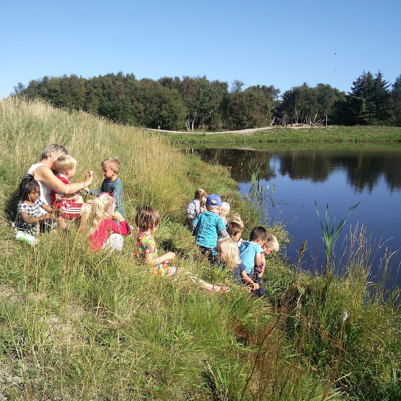 Børnehaven Pilekrattet