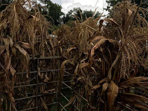 History Museum «Philipsburg Manor», reviews and photos, 381 North Broadway, Sleepy Hollow, NY 10591, USA