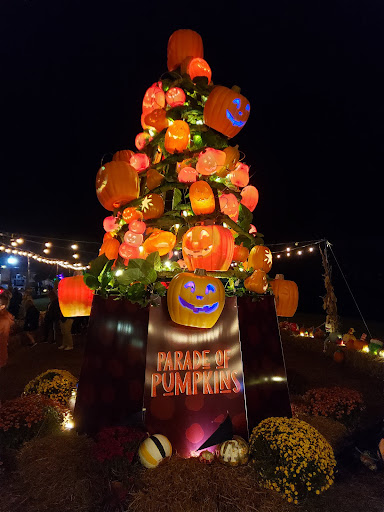 Auto Insurance Agency «State Farm: Trey Poole», reviews and photos