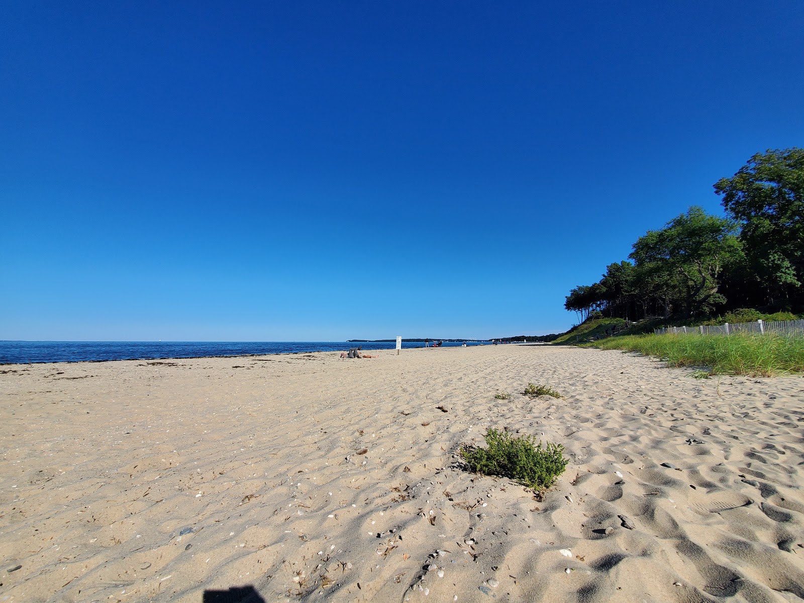 Valokuva Asharoken Beachista. pinnalla kirkas simpukkahiekka:n kanssa