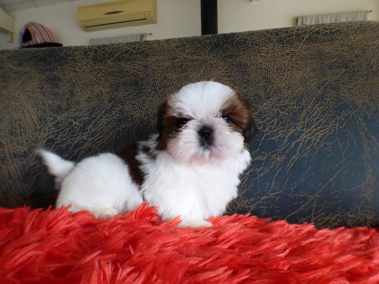 Photo n° 1 de l'avis de Axel.v fait le 14/02/2019 à 18:45