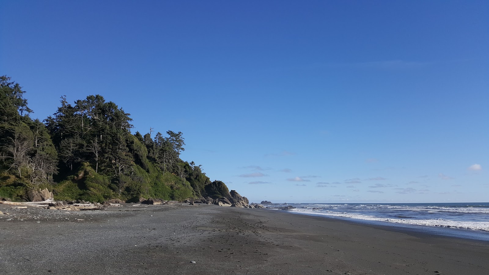 Photo of Kalaloch Beach II with very clean level of cleanliness