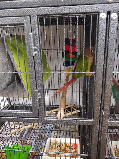 Pet Store «The Pet Zone», reviews and photos, 20 W Oak St, Pittston, PA 18640, USA