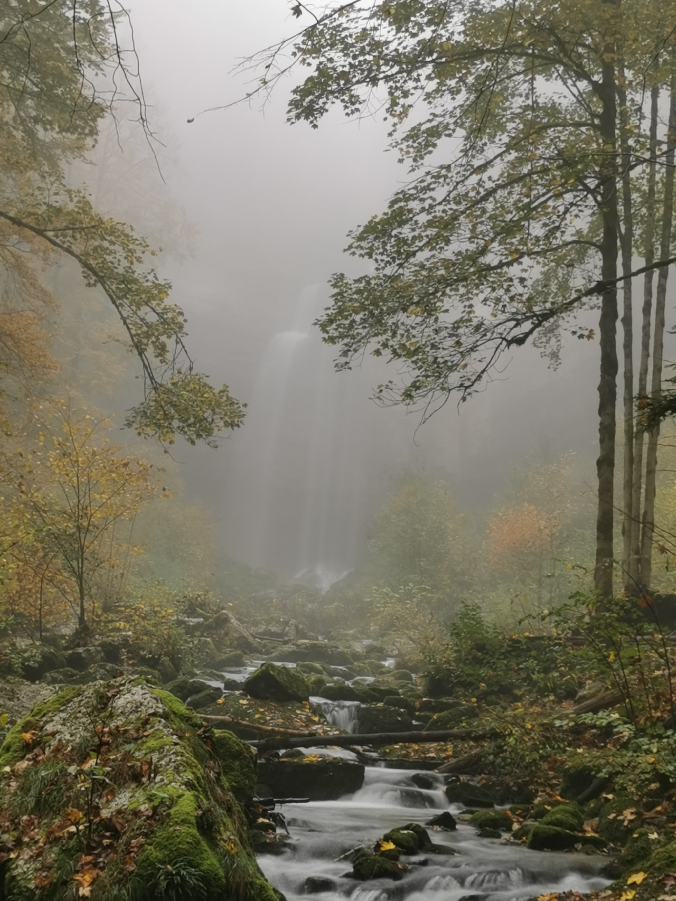 Photo n° 2 de l'avis de Jamila.l fait le 12/11/2019 à 19:33