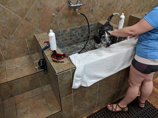 Pet Store «Pet Valu», reviews and photos, 4115 Mountain Rd #4193, Pasadena, MD 21122, USA