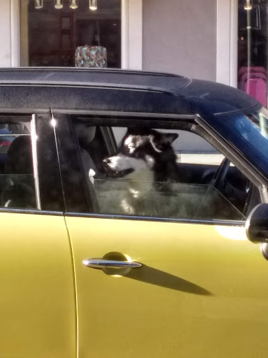 Coffee Shop «Starbucks», reviews and photos, 1160 Burlingame Ave, Burlingame, CA 94010, USA