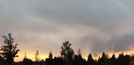 Department Store «Walmart Supercenter», reviews and photos, 14505 NE Fourth Plain Blvd, Vancouver, WA 98682, USA