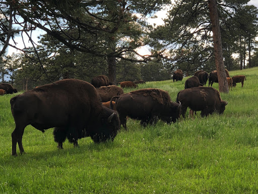 Convenience Store «Genesee Country Store», reviews and photos, 25958 Genesee Trail Rd, Golden, CO 80401, USA