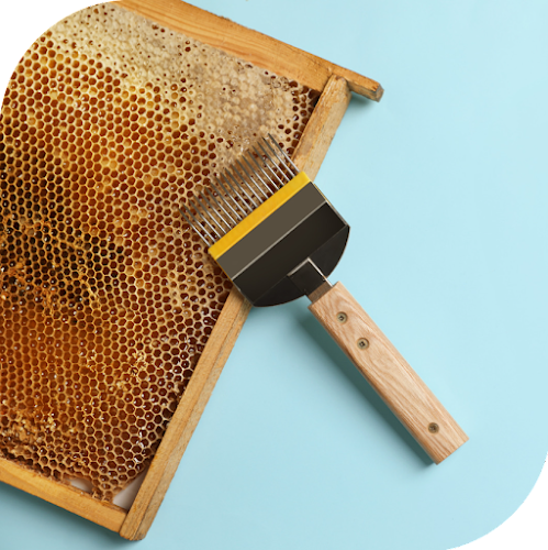 Magasin MIEL ET UNE RUCHE - Boutique d'apiculture, Vente matériel & Miel , parrainage de ruche Montauville
