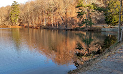 Cosby Lake Park