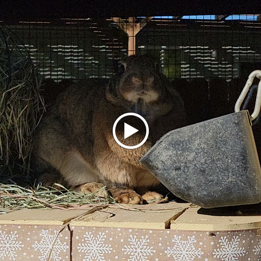 Produce Market «Underwood Family Farms», reviews and photos, 3370 Sunset Valley Rd, Moorpark, CA 93021, USA