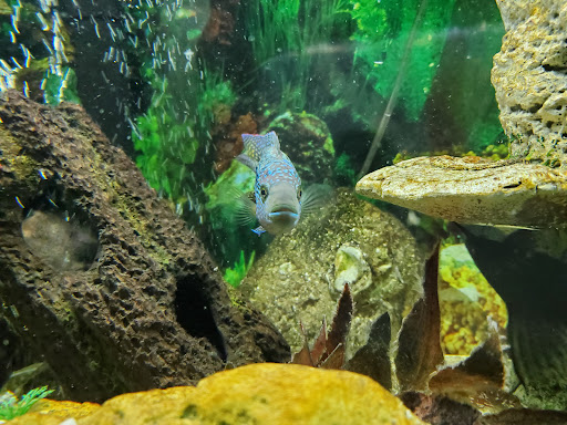 Pet Store «Pet Zone», reviews and photos, 1620 Marion-Mt Gilead Rd, Marion, OH 43302, USA