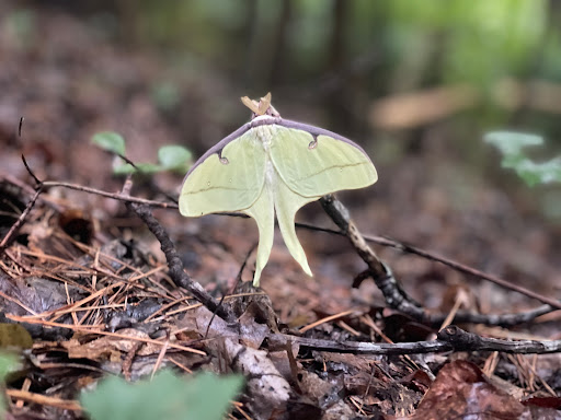 Nature Preserve «Piedmont Environmental Center», reviews and photos, 1220 Penny Rd, High Point, NC 27265, USA