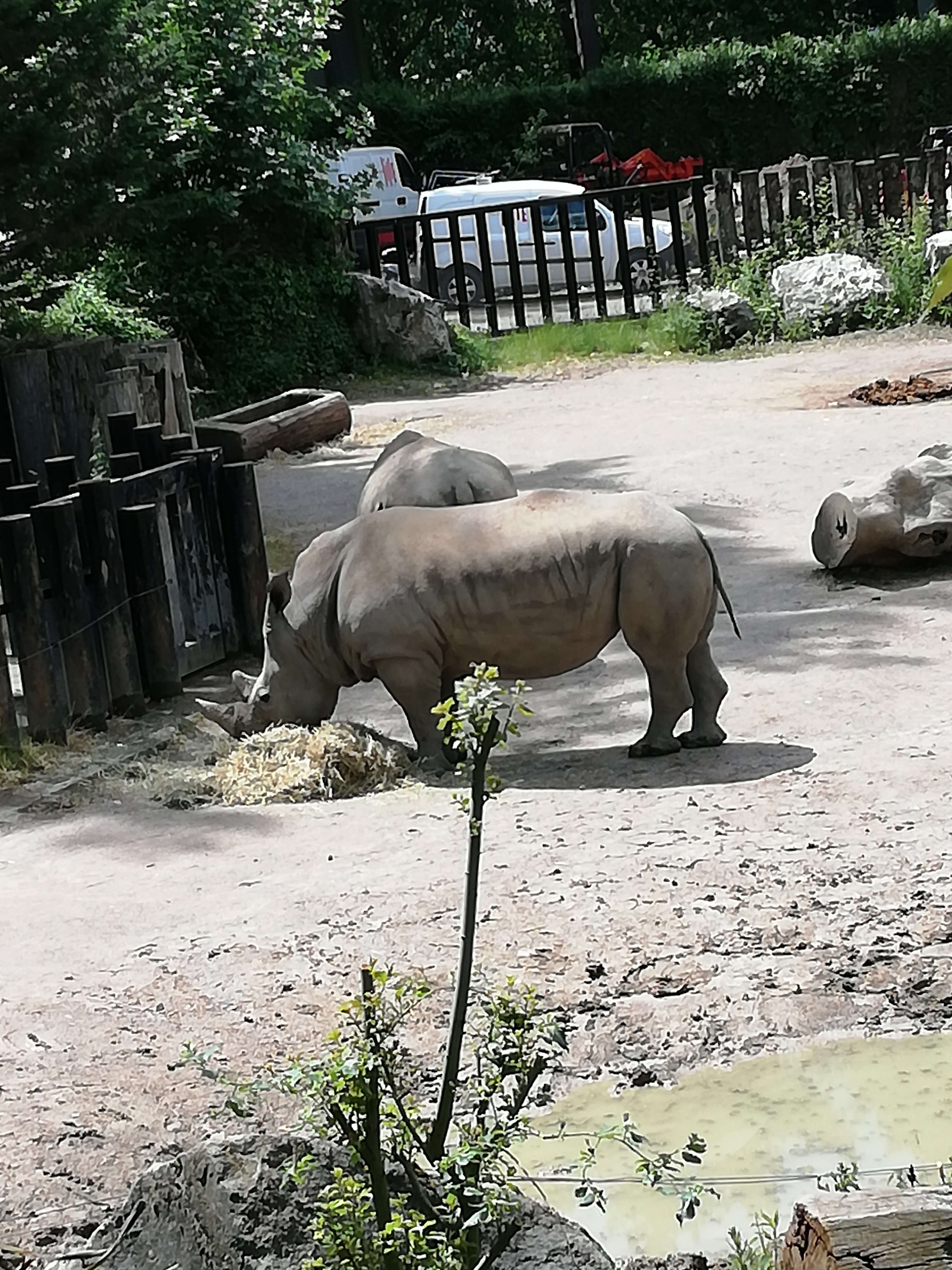 Photo n° 3 de l'avis de Saku'. fait le 06/06/2019 à 12:51