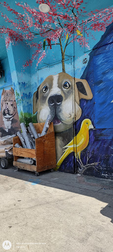 Pet Store «El Granero Pet Shop», reviews and photos, 15700 Atlantic Ave, Compton, CA 90221, USA
