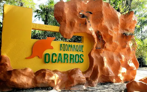Bioparque Los Ocarros image