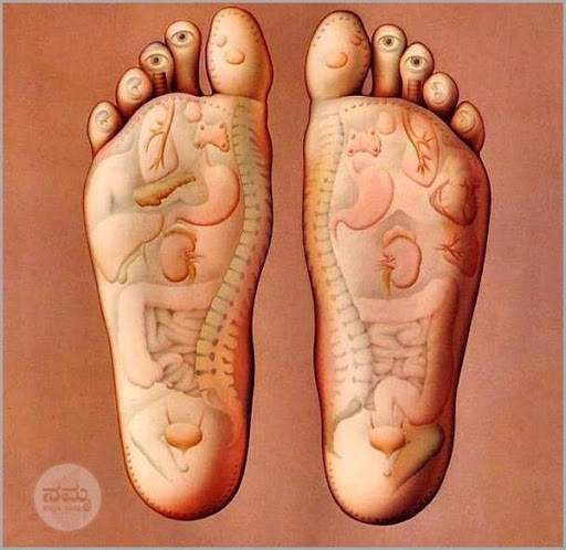 Sioned Clinical Reflexology