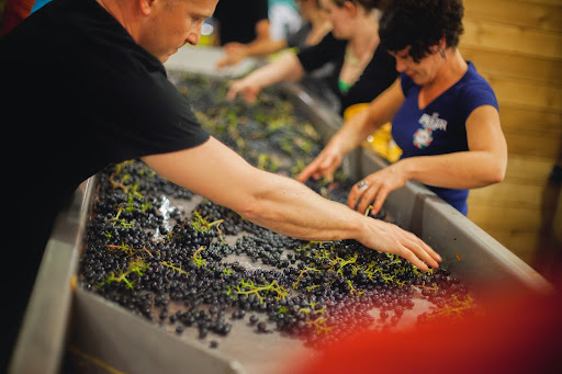 Winery «ENSO Winery», reviews and photos, 1416 SE Stark St, Portland, OR 97214, USA