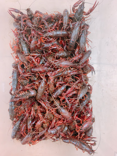 Asian Grocery Store «Phan Thiet Oriental Market», reviews and photos, 497 Schmale Road, Carol Stream, IL 60188, USA