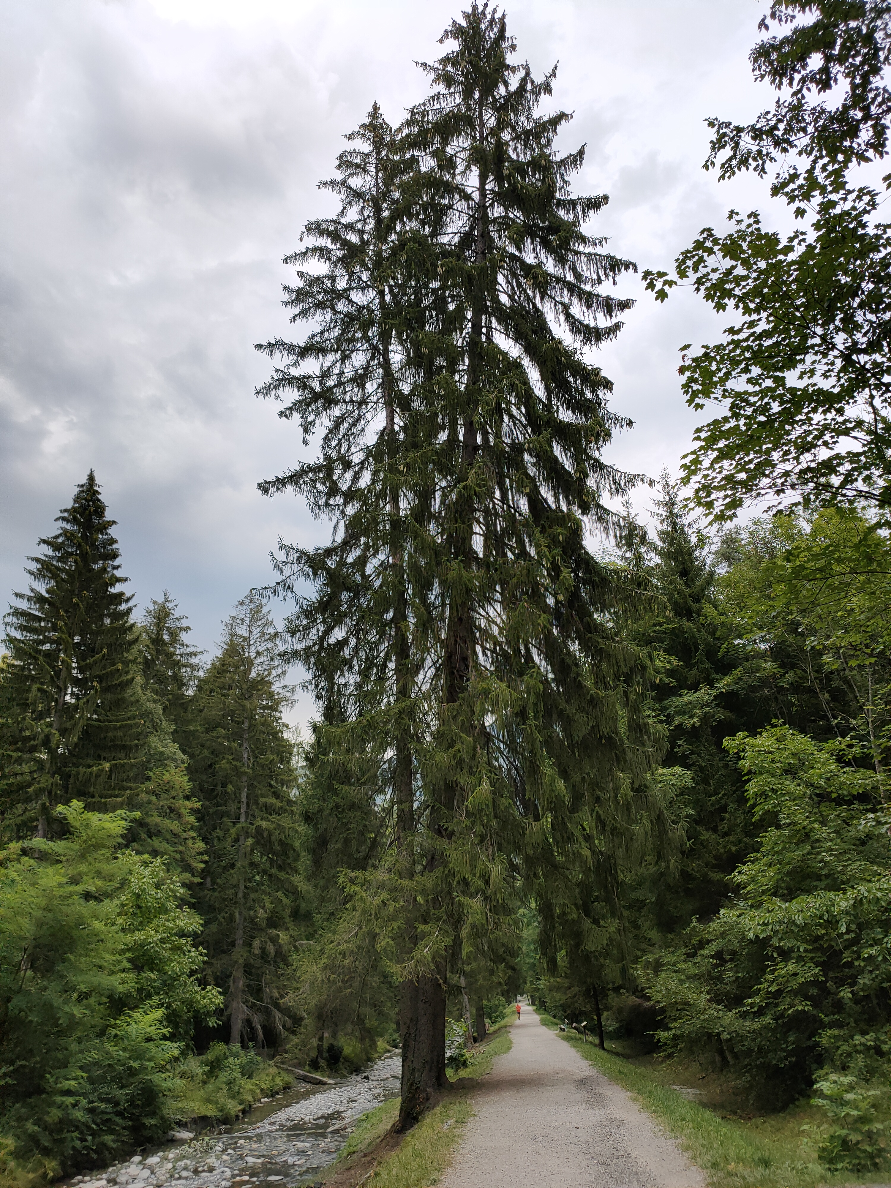 Photo n° 8 de l'avis de Franck. fait le 24/12/2022 à 13:47