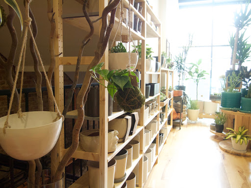 Gift Shop «Moss - Iowa City», reviews and photos, 112 E Washington St, Iowa City, IA 52240, USA