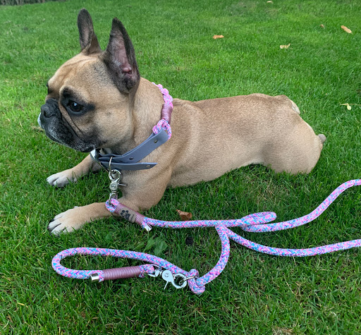 Weggefährte unter Zeitz, 