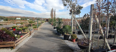 Le Jardin de Jade Jardinerie à Villefranche-de-Lauragais