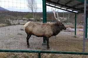 Zoo Santiago de la Monclova image