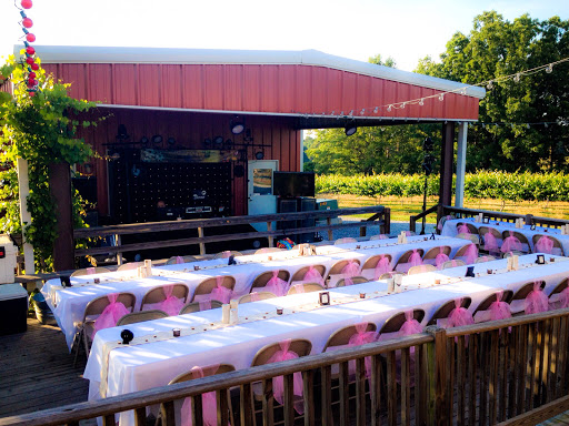 Winery «Hidden Meadow Vineyard and Winery», reviews and photos, 664 Co Rd 606, Jemison, AL 35085, USA