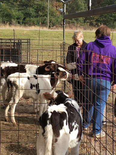 Tourist Attraction «Cajun Country Corn», reviews and photos, 40833 LA-16, Amite City, LA 70422, USA