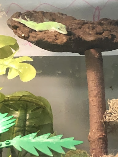 Pet Supply Store «Petco Animal Supplies», reviews and photos, 1483 NJ-23 #14b, Kinnelon, NJ 07405, USA