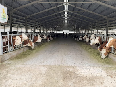 Zeynonun Çiftliği | Doğal Günlük Süt, Ev Yapımı Ürünler, Süt Ürünleri