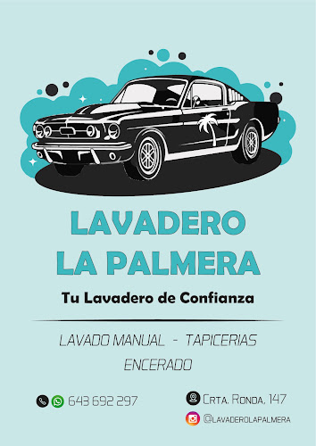 Lavadero La Palmera